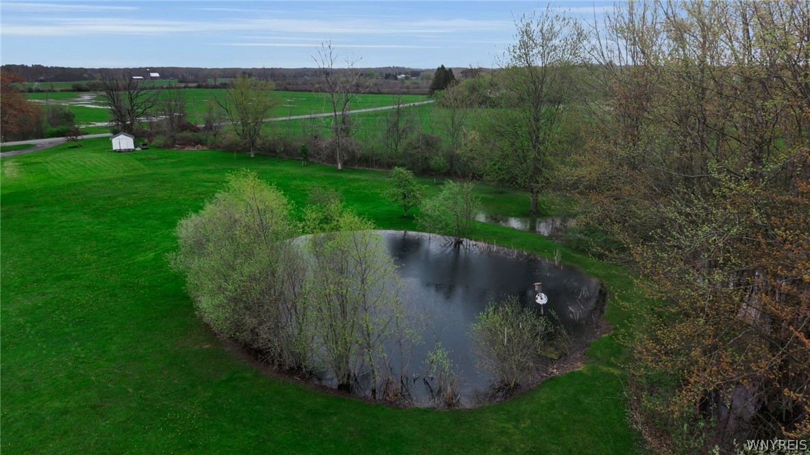 9848 Chestnut Ridge Road Royalton, NY 14105 - Photo 7 of 50
