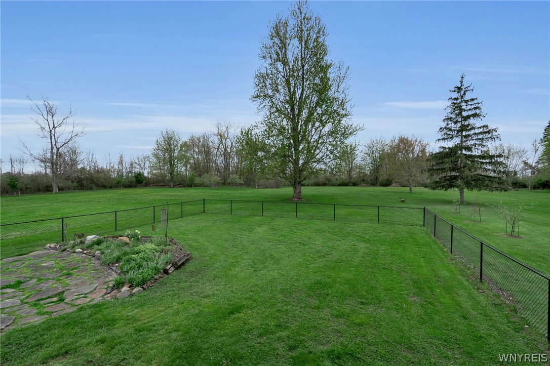9848 Chestnut Ridge Road Royalton, NY 14105 - Photo 9 of 50