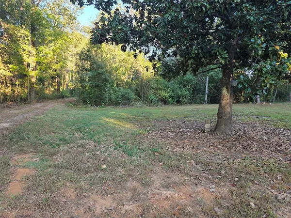 a view of a big yard with large trees