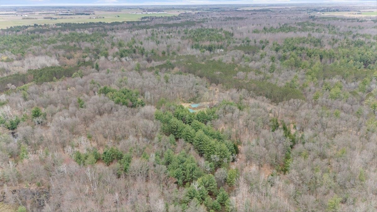 7734 West Partlo Road Whittemore, MI 48770 - Photo 16 of 45