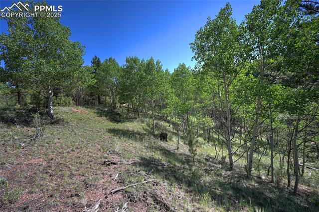 412 Princess Road Cripple Creek, CO 80813 - Photo 17 of 45 Gallery Image 17