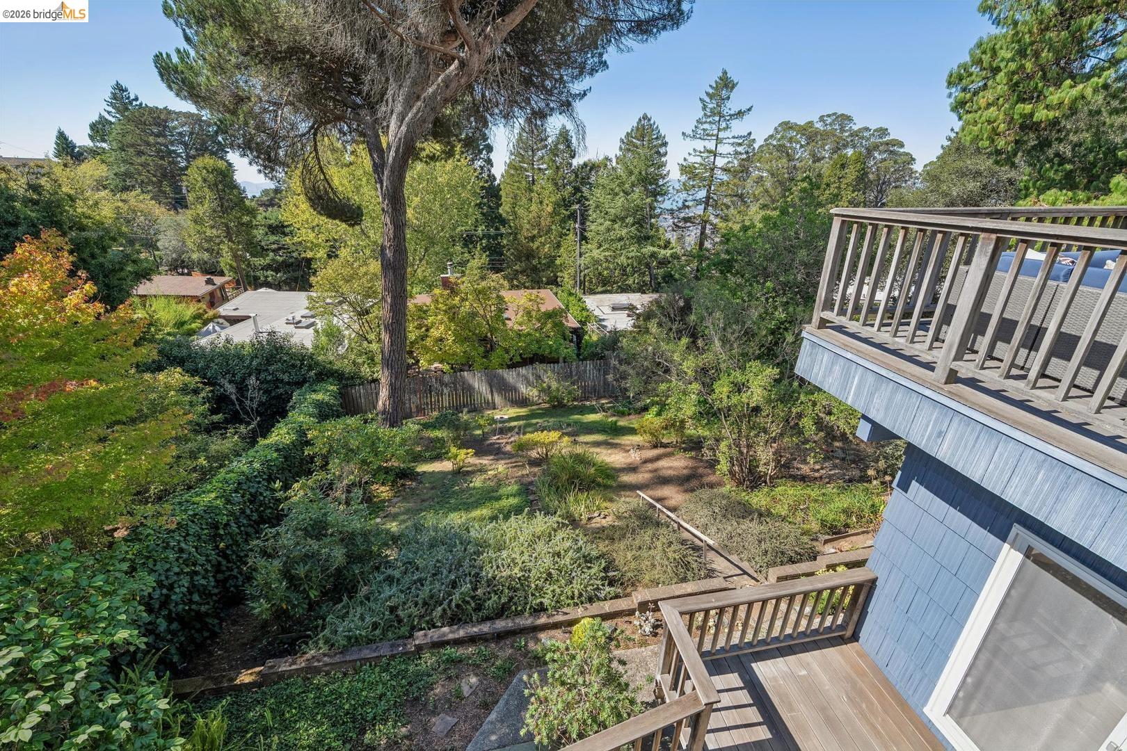 155 Avenida Drive Berkeley, CA 94708 - Photo 22 of 86 Expansive backyard featuring mature trees and established greenery