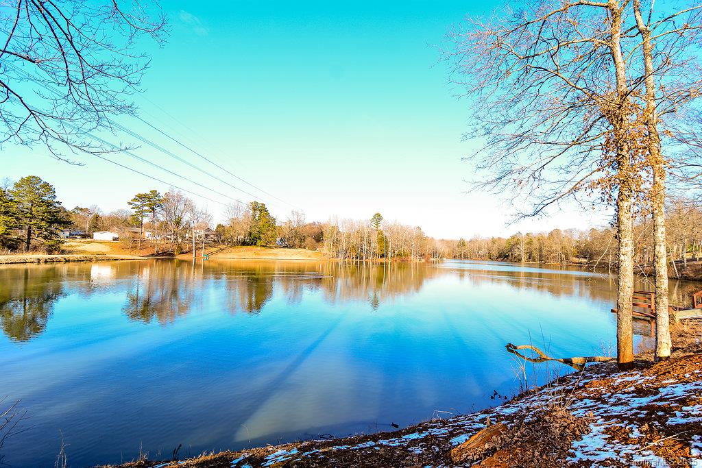 481 Lakeview Road, Unit 21 & PT 22 Fort Mill, SC 29715 - Photo 2 of 23 Gallery Image 2