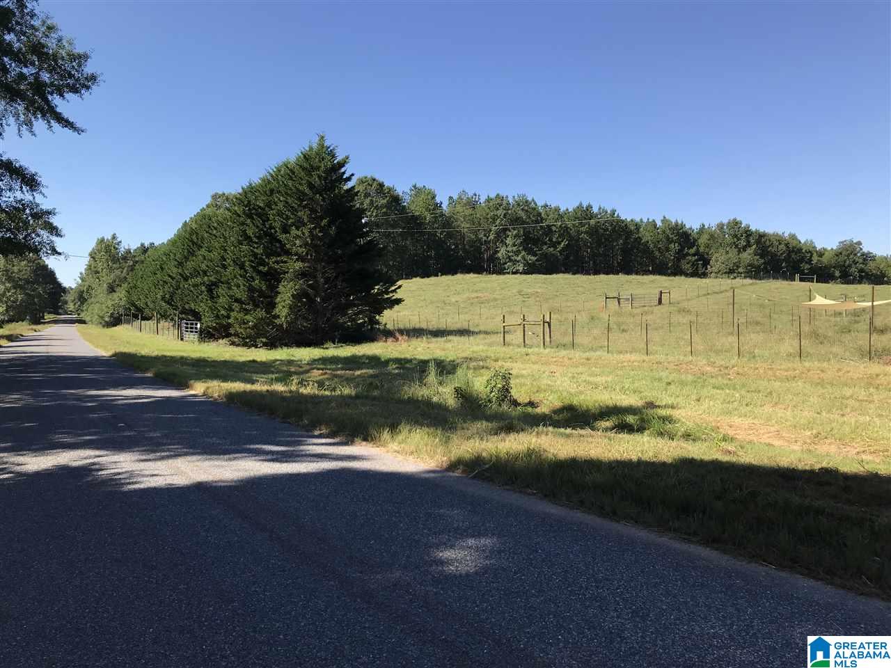 5425 East Mill Road Lineville, AL 36266 - Photo 46 of 50