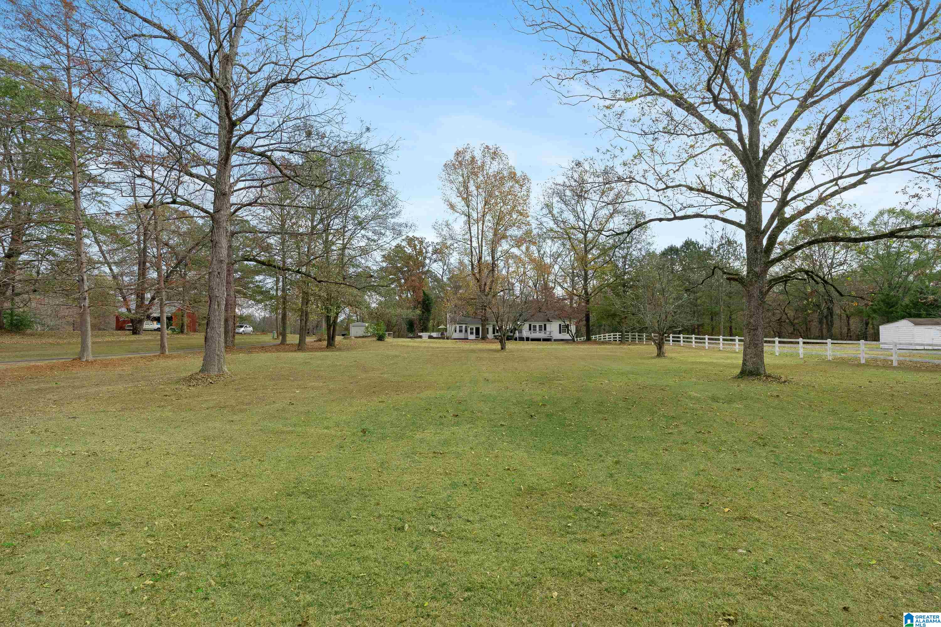 5501 Rosemary Road Mount Olive, AL 35117 - Photo 3 of 45