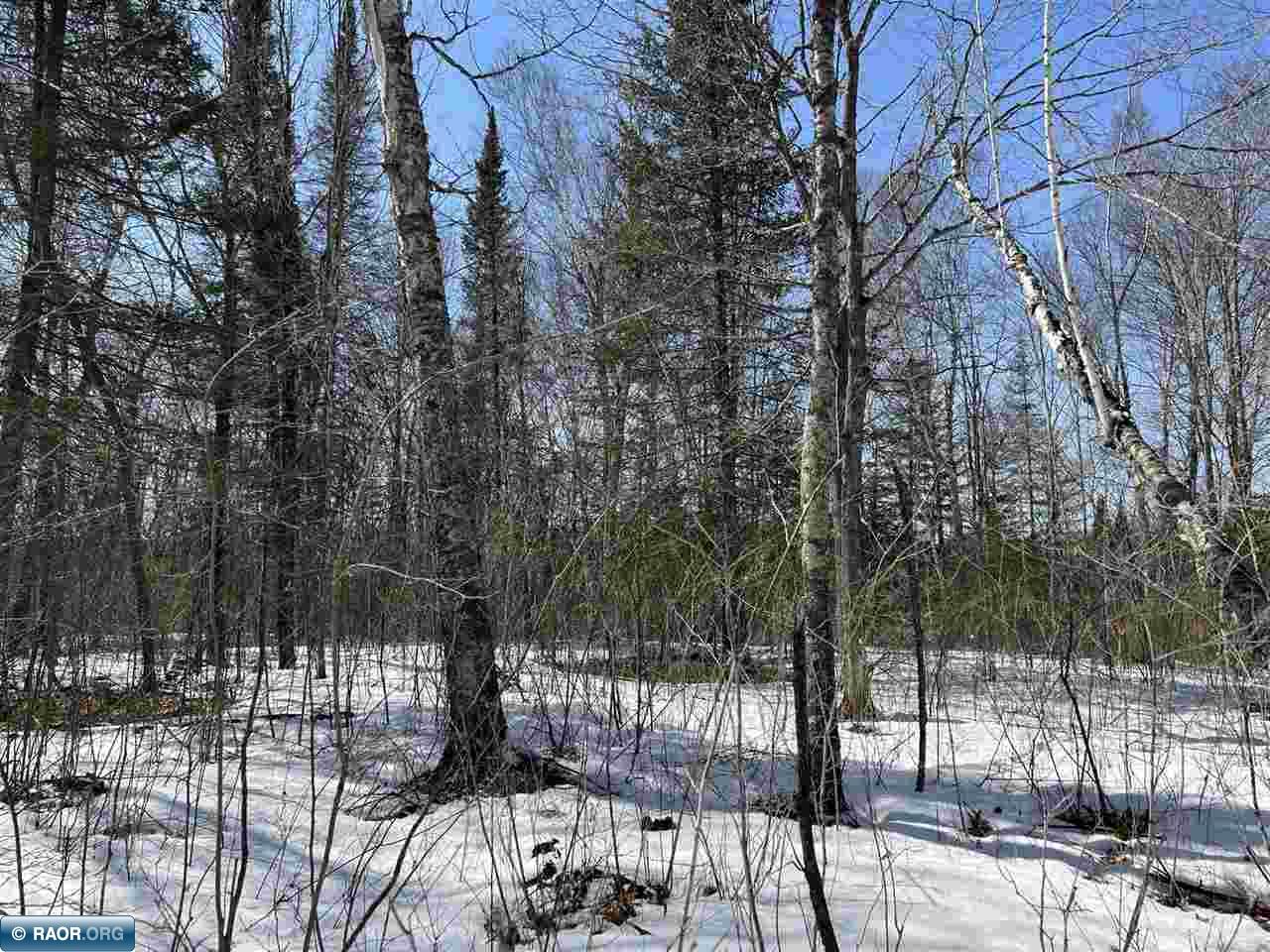 Lot 5 Rippling Oak Ridge River Pengilly, MN 55775 - Photo 8 of 9