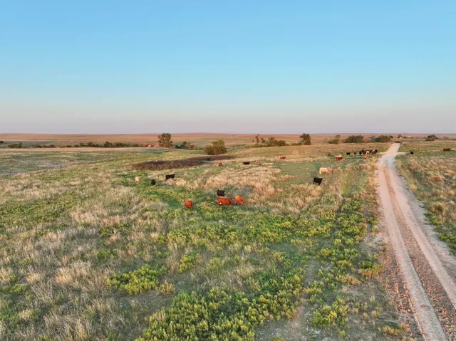 a view of a lake with a yard and mountain view