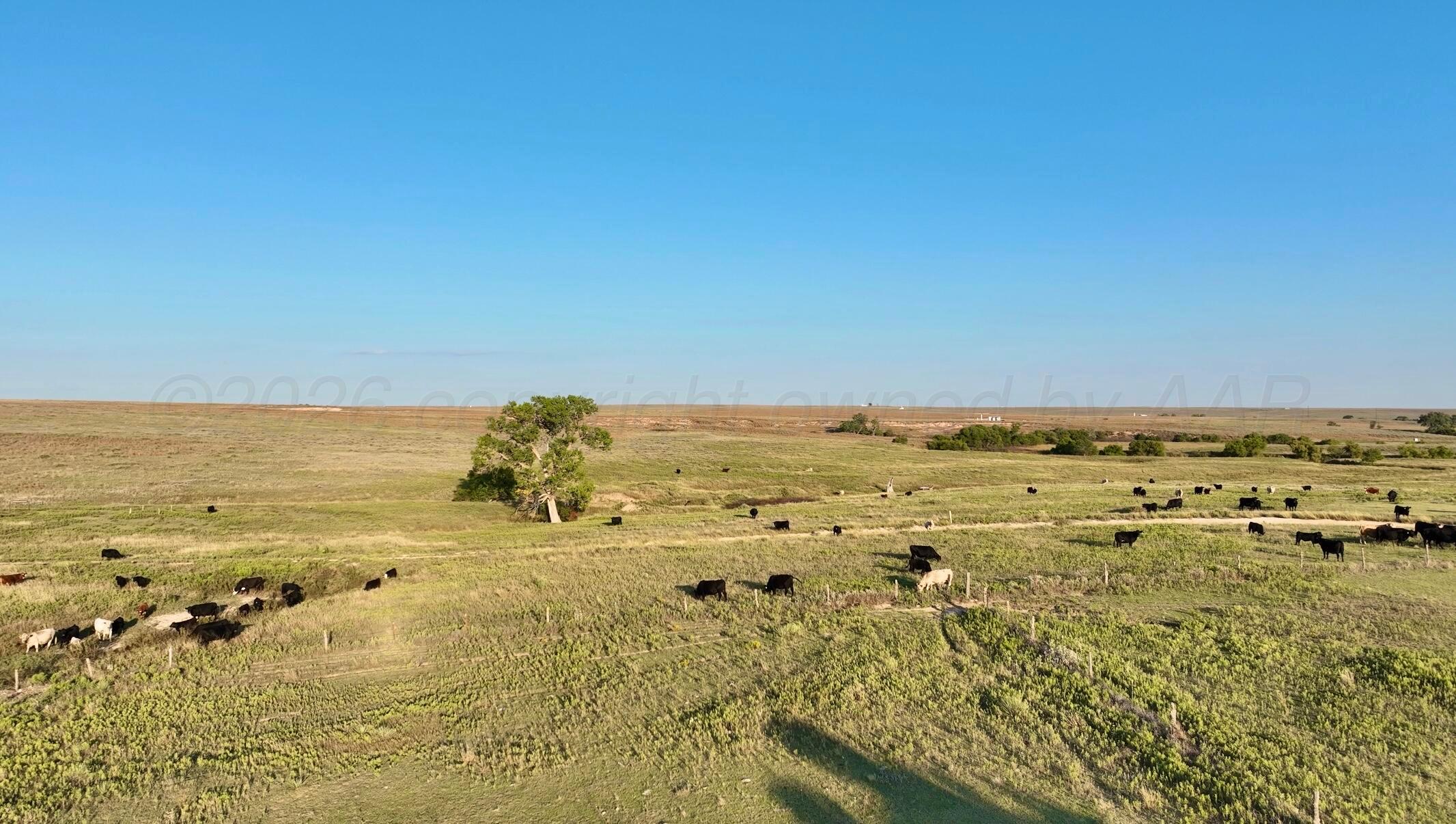 First Creek Ranch Booker, TX 79005 - Photo 20 of 25 a view of an ocean