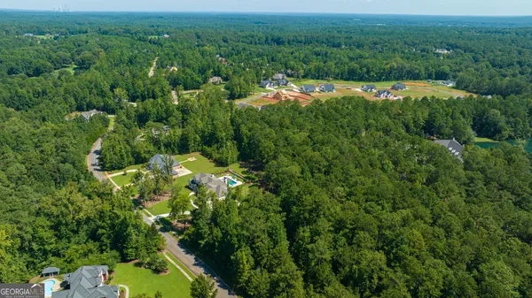 a view of a lush green field with lots of bushes