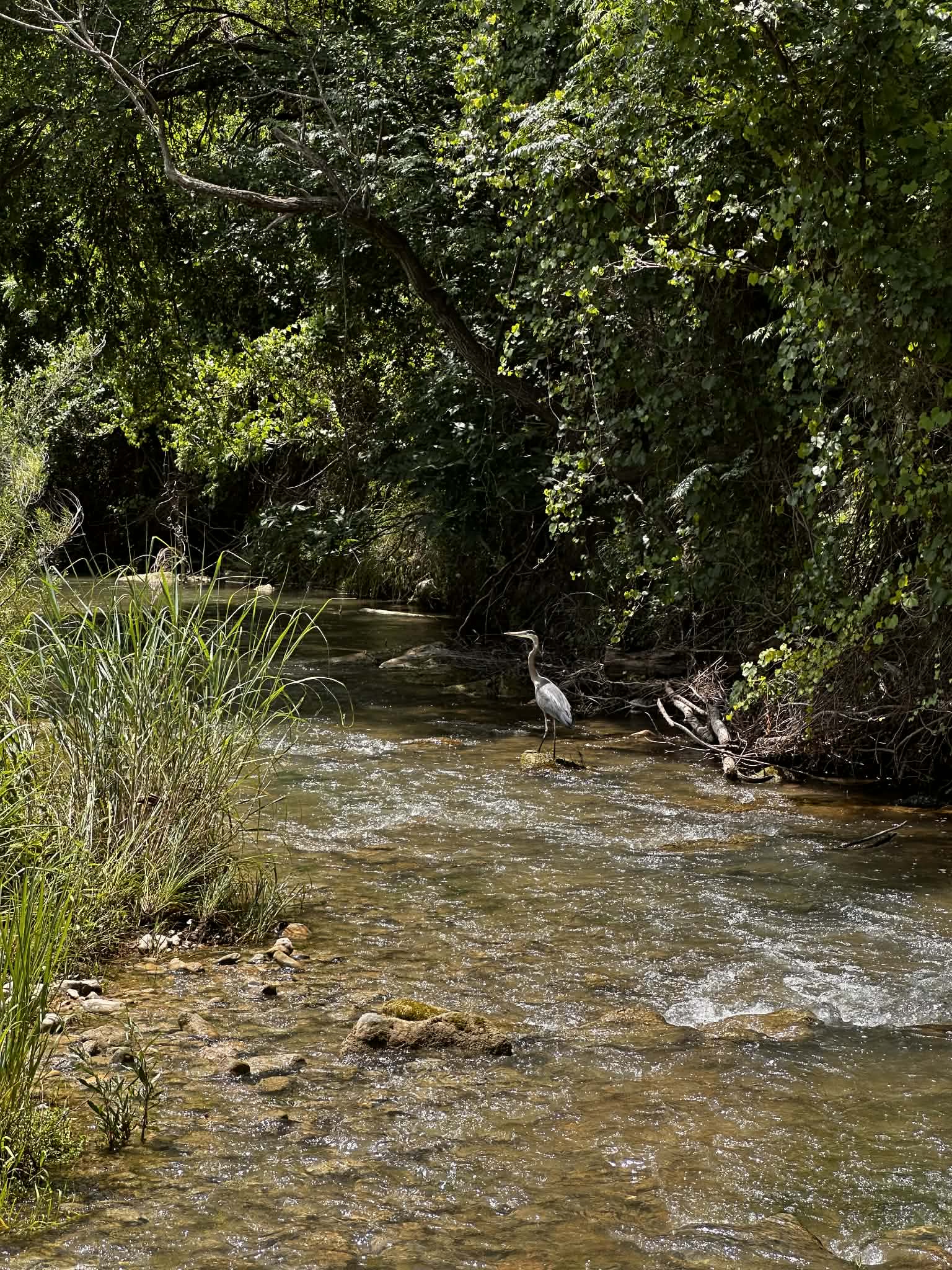 810 Kc 271 Junction Junction, TX 76849 - Photo 14 of 20 North Llano river crossing is minutes from home