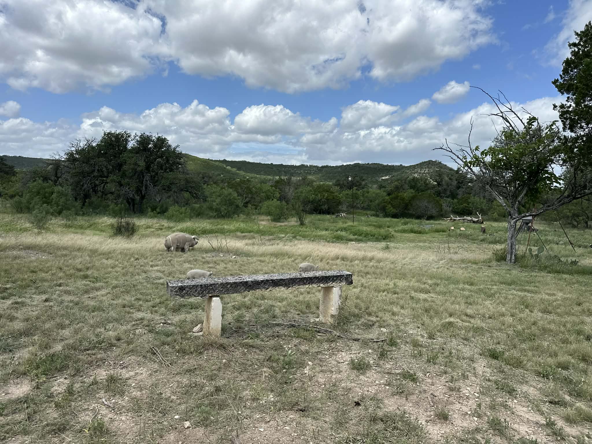 810 Kc 271 Junction Junction, TX 76849 - Photo 18 of 20 View of yard featuring a view of countryside and a mountain view
