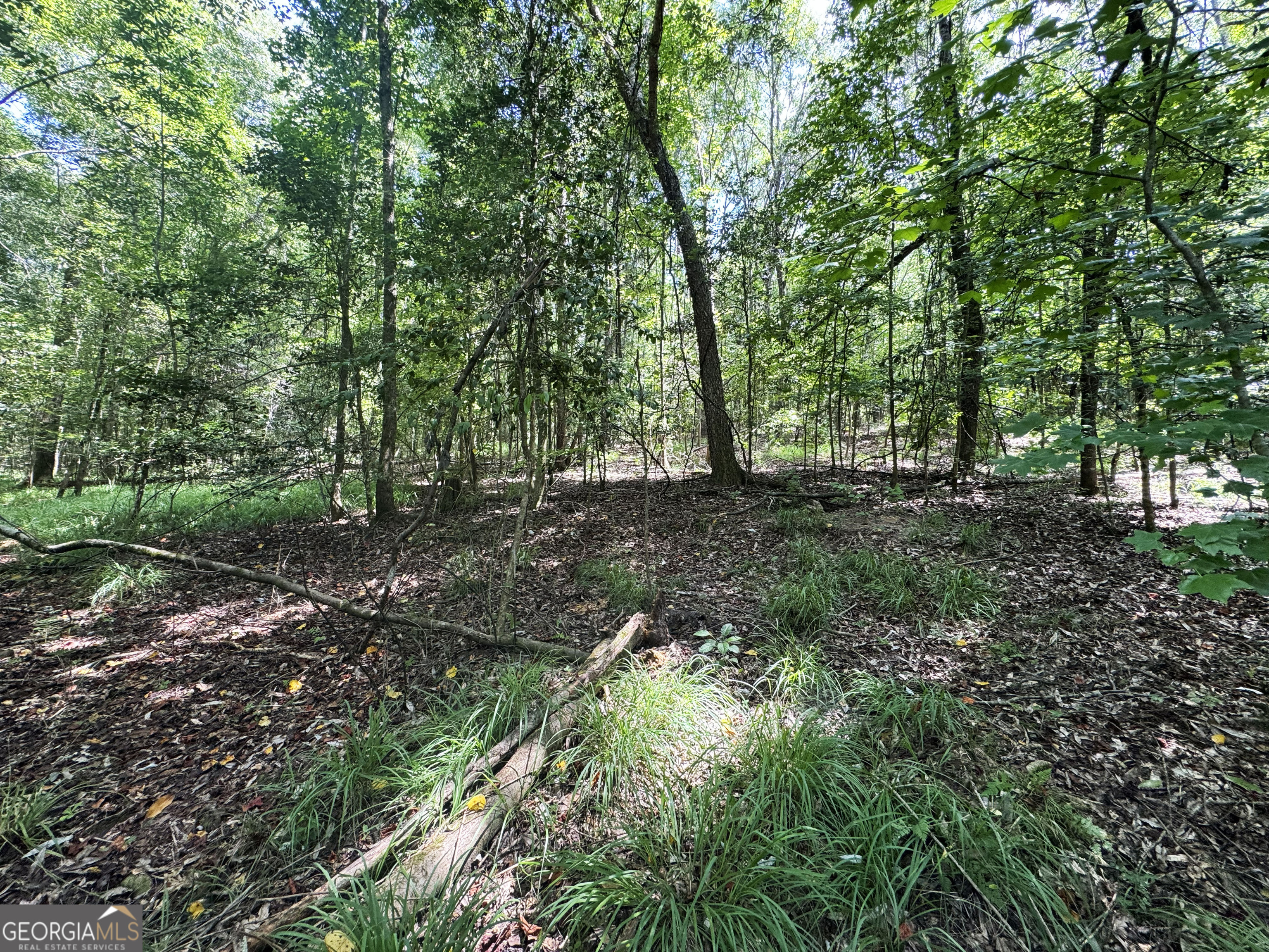 Tbd Tbd Wooten Road Cuthbert, GA 39840 - Photo 32 of 71
