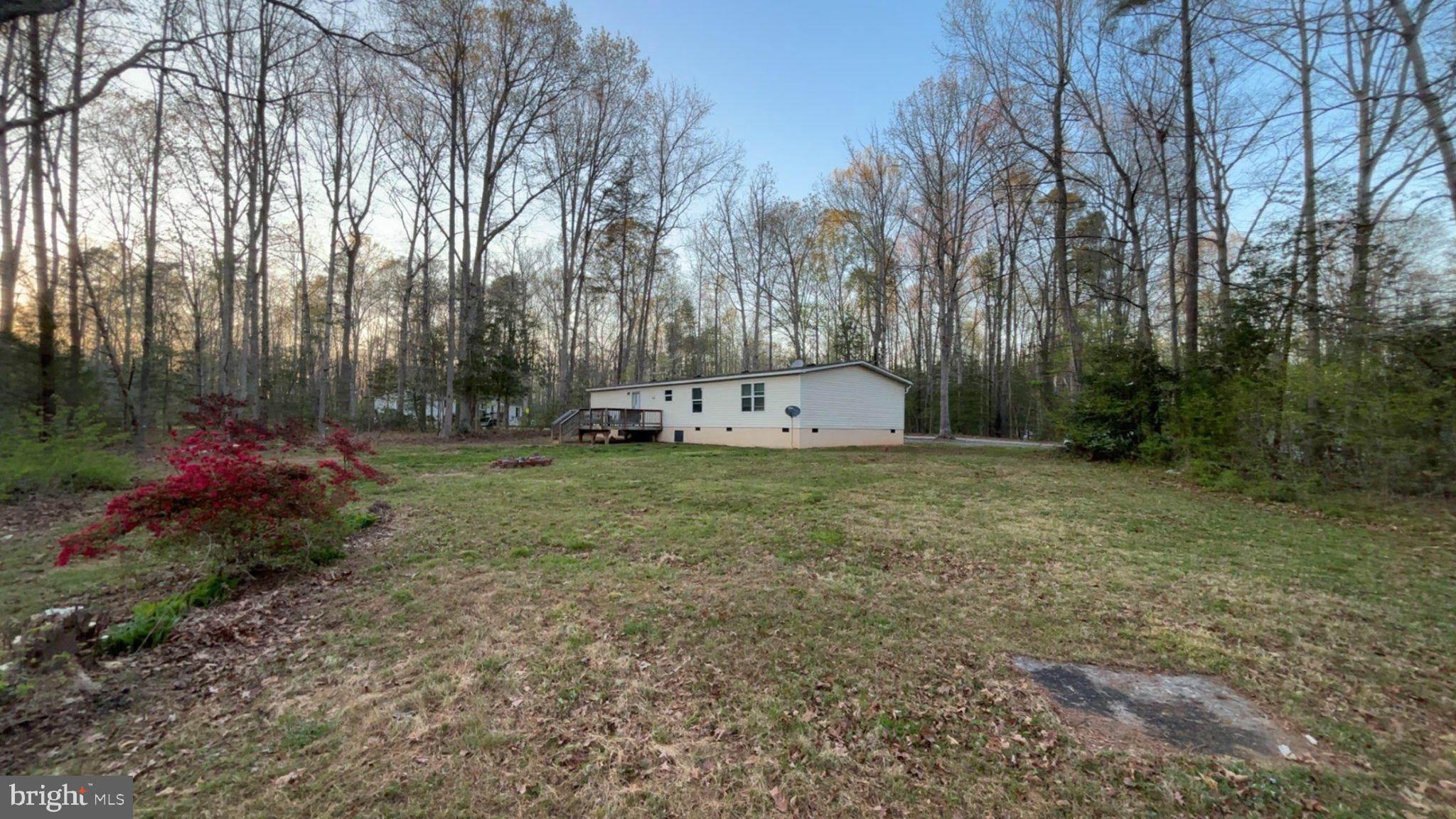 8510 Darcy Lane Partlow, VA 22534 - Photo 5 of 27 a view of a backyard with large trees