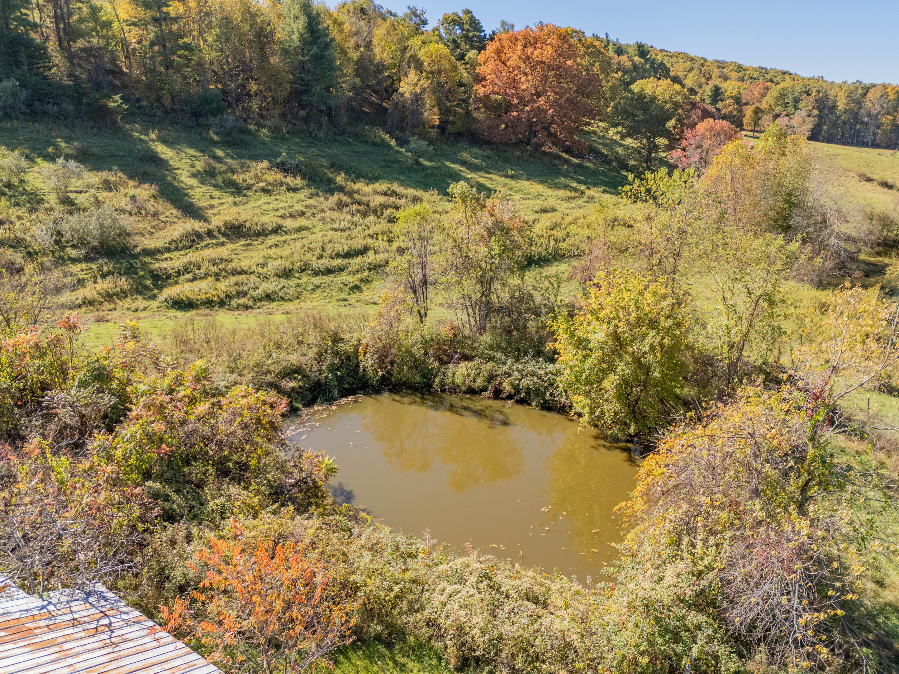508 Whitelocke Road Southeast Floyd, VA 24091 - Photo 62 of 80 66