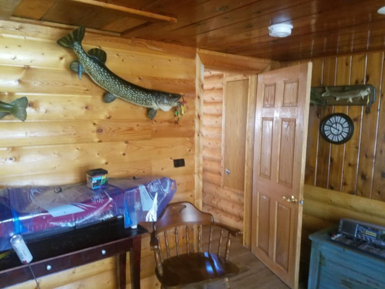 3065 Spring Street Fremont, MI 49412 - Photo 11 of 37 untitled23