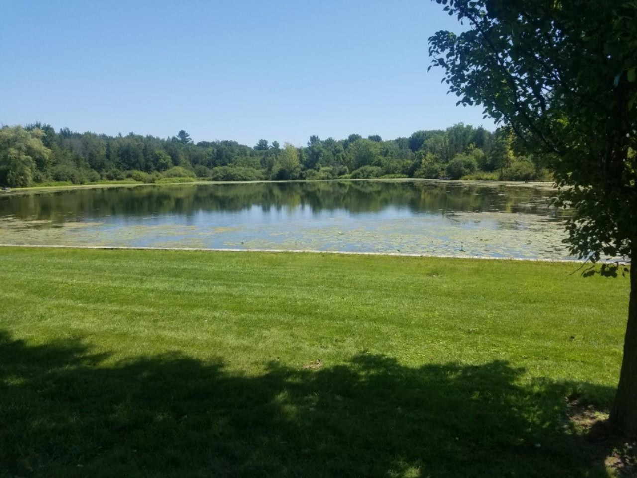3065 Spring Street Fremont, MI 49412 - Photo 36 of 37 untitled11