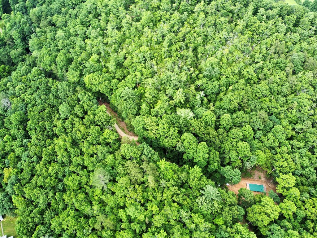 1380 Bluff Road Marble, NC 28905 - Photo 14 of 16