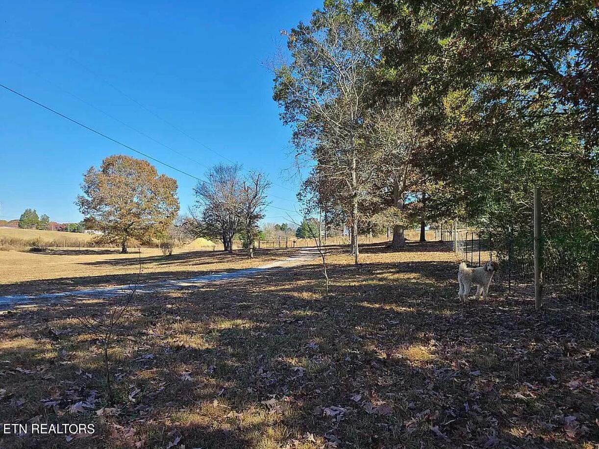 144 Sewell Road Philadelphia, TN 37846 - Photo 9 of 35 9