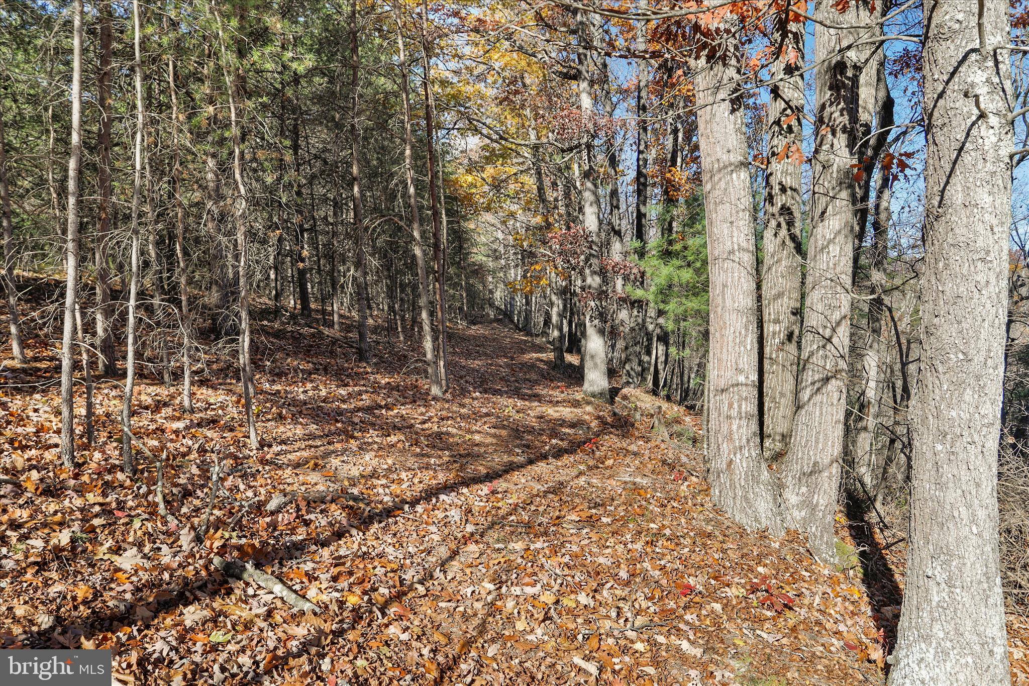 Lot 8 Croston Road Paw Paw, WV 25434 - Photo 11 of 27 Electricity on site + great cell service