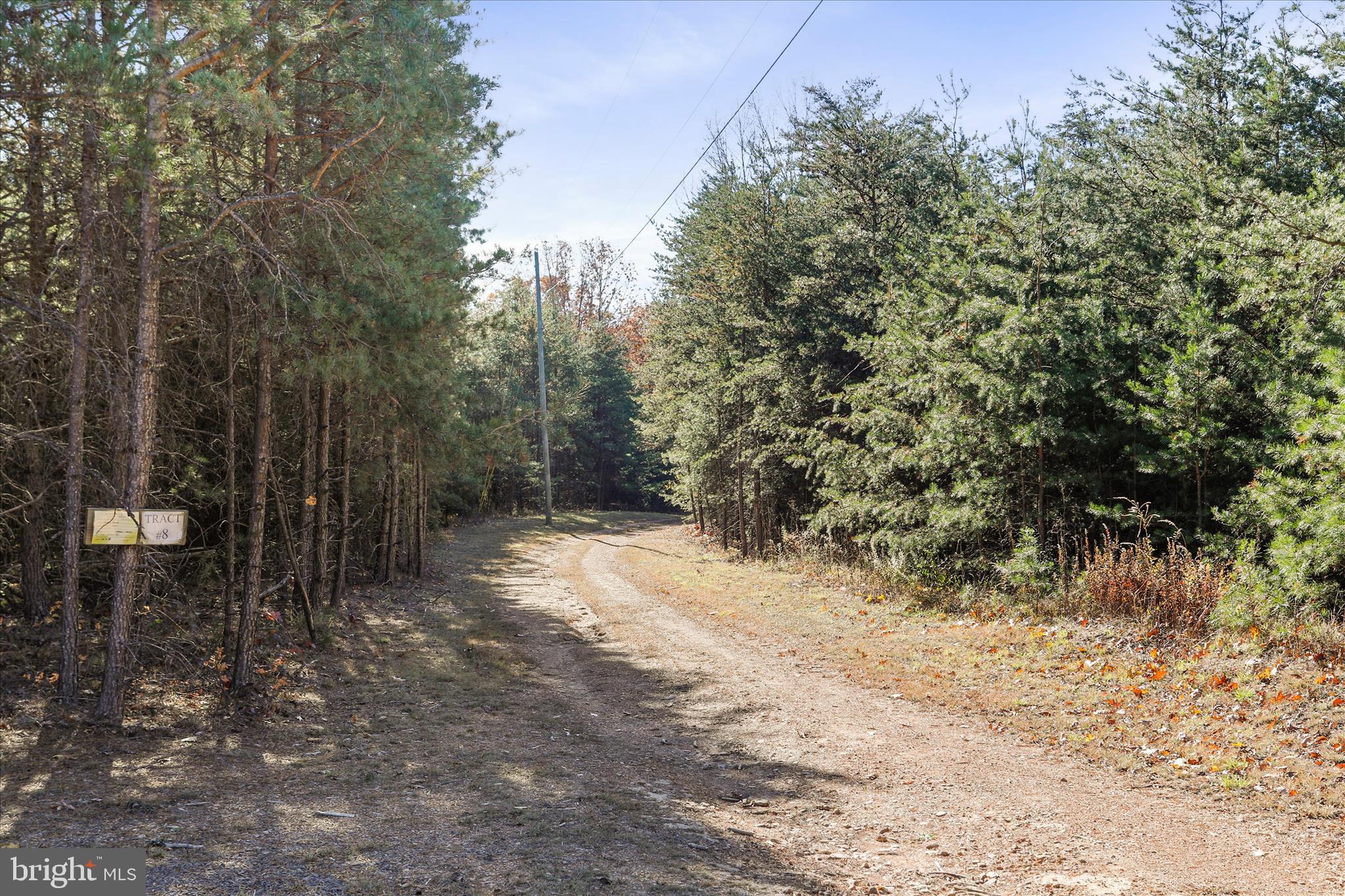 Lot 8 Croston Road Paw Paw, WV 25434 - Photo 12 of 27 No HOA and minimal restrictions