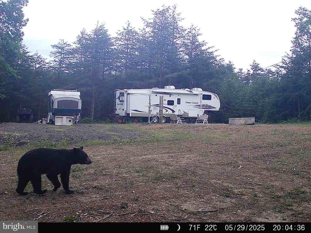 Lot 8 Croston Road Paw Paw, WV 25434 - Photo 17 of 27 Wildlife - No HOA and minimal restrictions