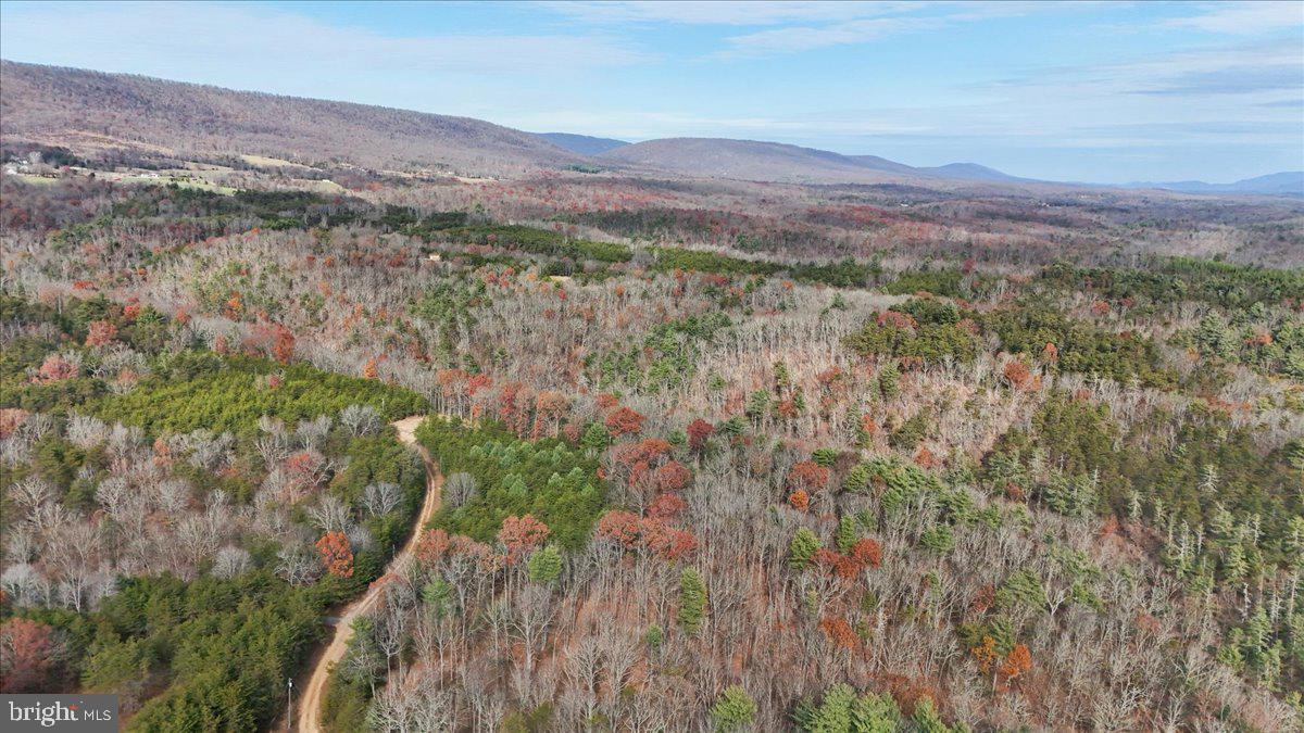 Lot 8 Croston Road Paw Paw, WV 25434 - Photo 2 of 27 27.46 Wooded Acres in Hampshire County, WV