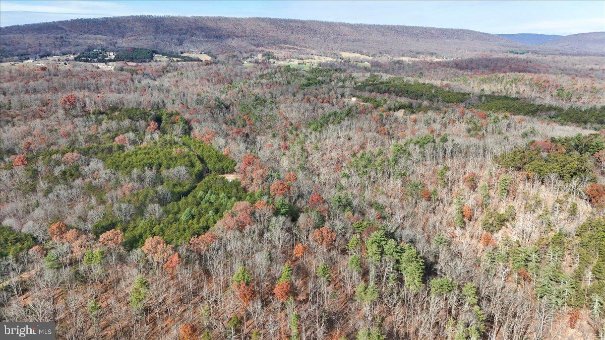 Lot 8 Croston Road Paw Paw, WV 25434 - Photo 23 of 27 27.46 Wooded Acres in Hampshire County, WV