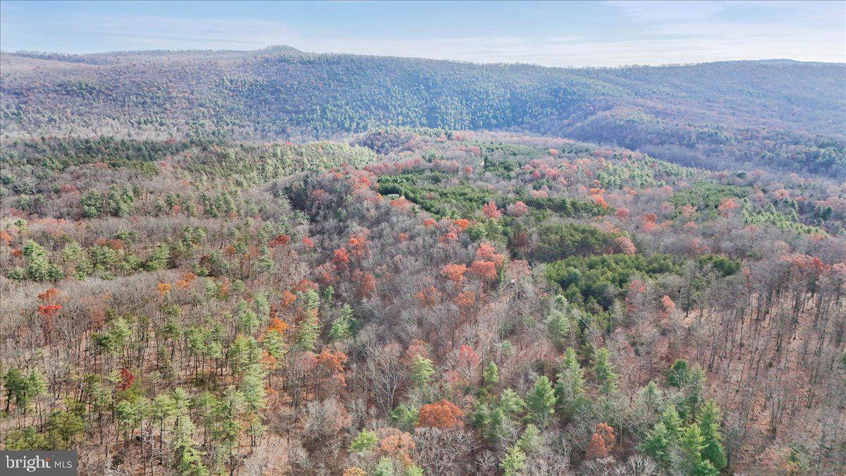 Lot 8 Croston Road Paw Paw, WV 25434 - Photo 24 of 27 27.46 Wooded Acres in Hampshire County, WV