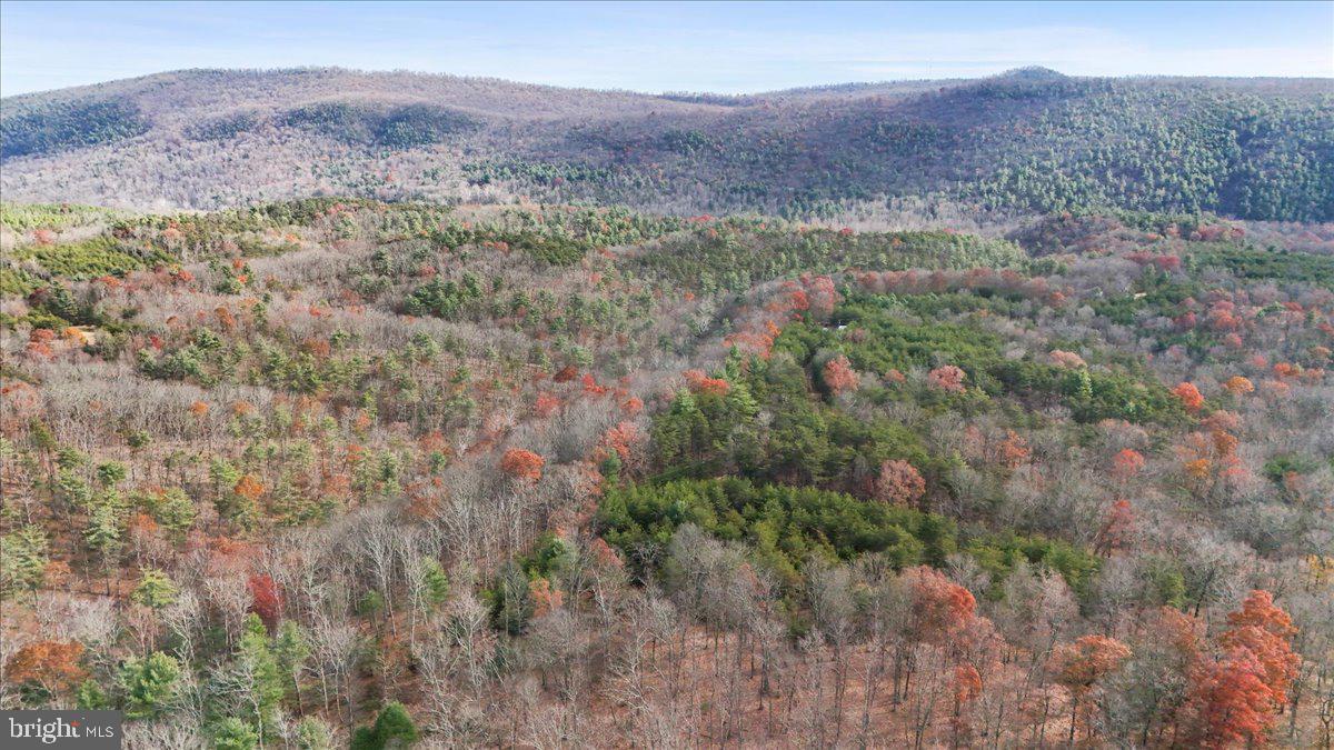 Lot 8 Croston Road Paw Paw, WV 25434 - Photo 25 of 27 27.46 Wooded Acres in Hampshire County, WV