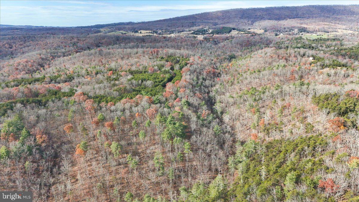 Lot 8 Croston Road Paw Paw, WV 25434 - Photo 26 of 27 27.46 Wooded Acres in Hampshire County, WV