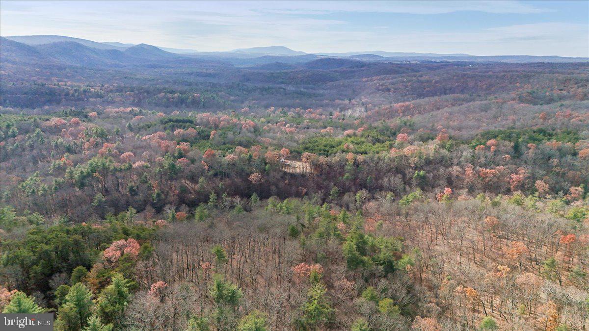Lot 8 Croston Road Paw Paw, WV 25434 - Photo 27 of 27 27.46 Wooded Acres in Hampshire County, WV