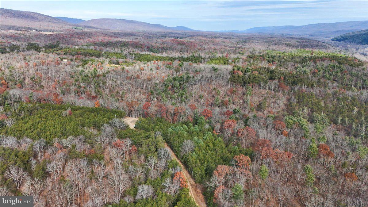 Lot 8 Croston Road Paw Paw, WV 25434 - Photo 3 of 27 27.46 Wooded Acres in Hampshire County, WV