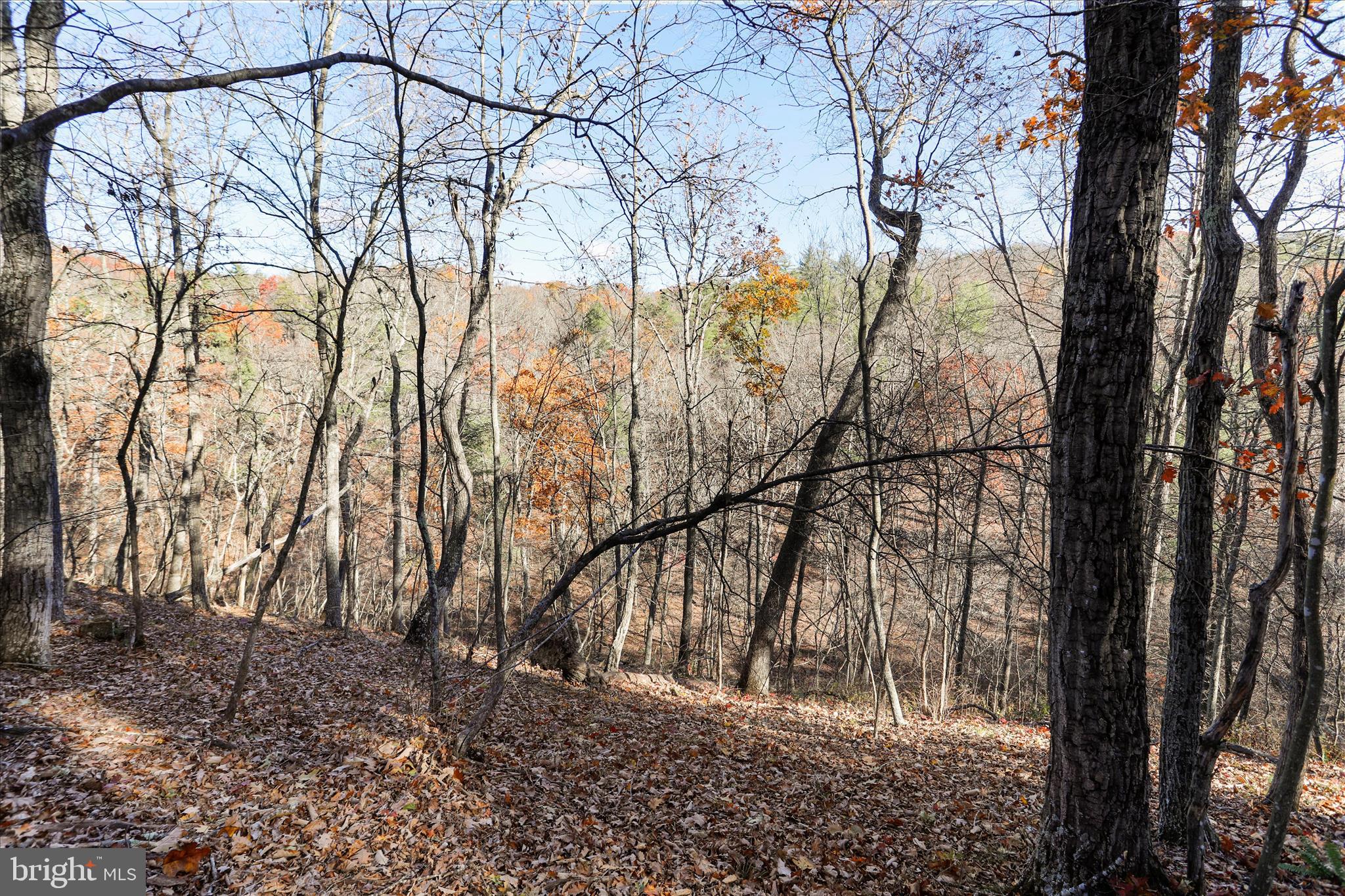 Lot 8 Croston Road Paw Paw, WV 25434 - Photo 8 of 27 No HOA and minimal restrictions