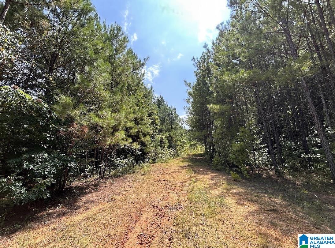 125 A Thatcher Road, Unit 7A1 7A5 Vincent, AL 35178 - Photo 14 of 15 Gallery Image 14