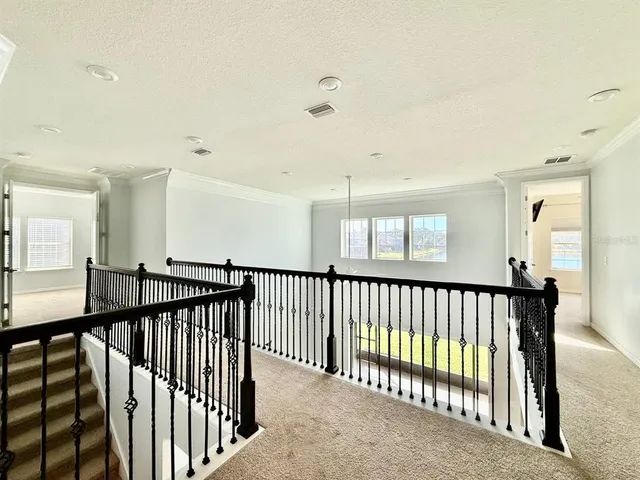 $3,995 | 18824 Birchwood Groves Drive, Lutz, FL 33558