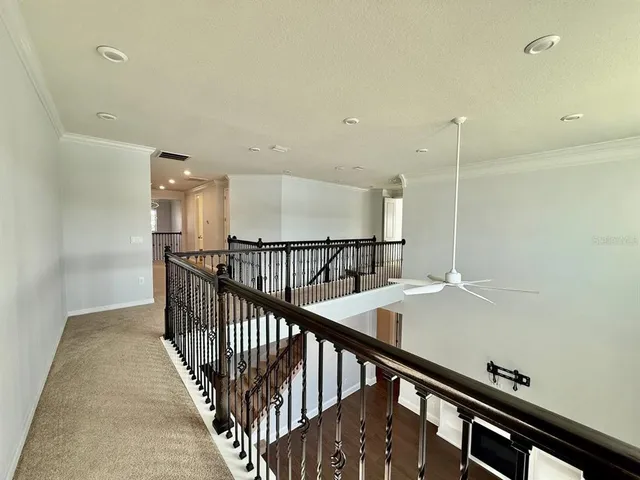 $3,995 | 18824 Birchwood Groves Drive, Lutz, FL 33558