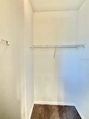 $3,995 | 18824 Birchwood Groves Drive, Lutz, FL 33558