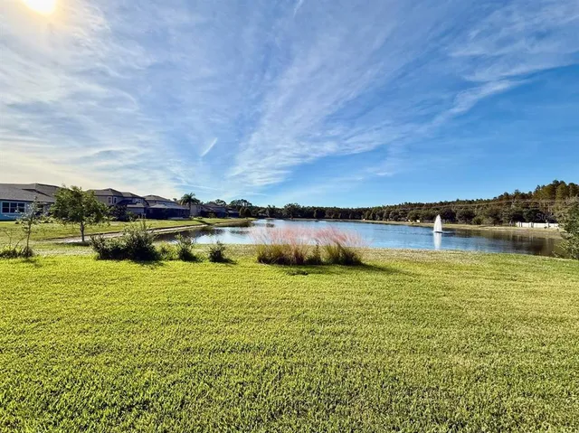 $3,995 | 18824 Birchwood Groves Drive, Lutz, FL 33558