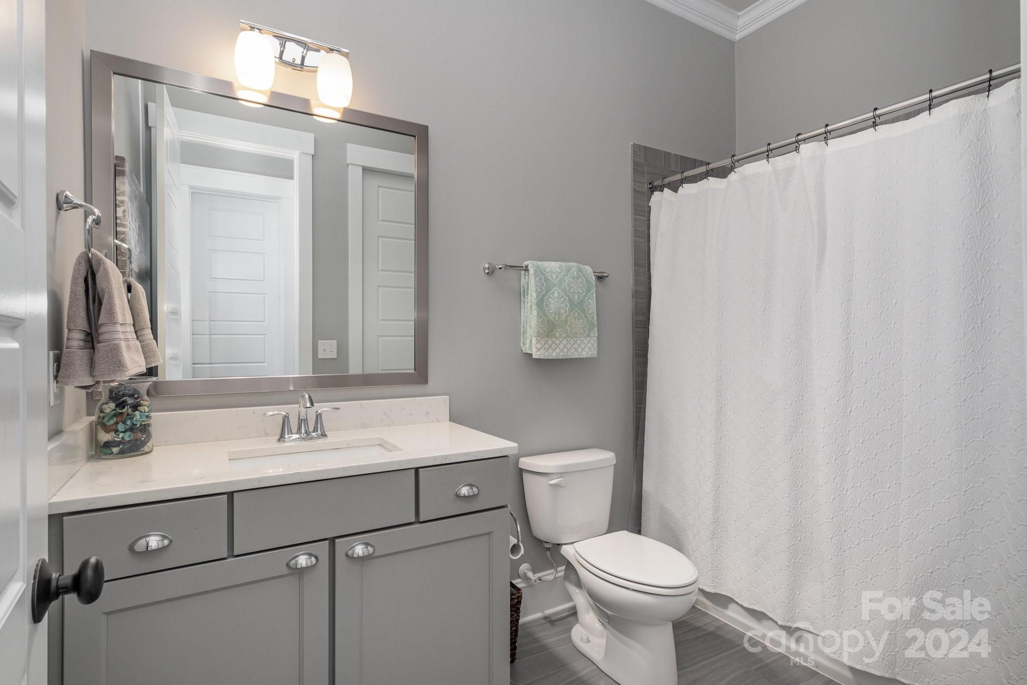 2289 Tatton Hall Road Fort Mill, SC 29715 - Photo 28 of 48 a bathroom with a sink a toilet and a mirror