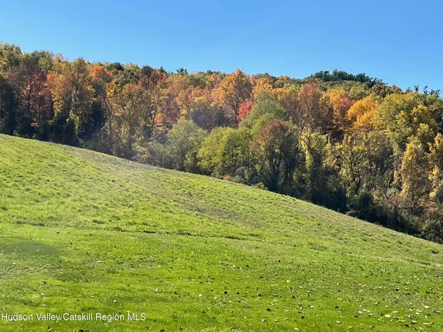 a view of a yard with a mountain