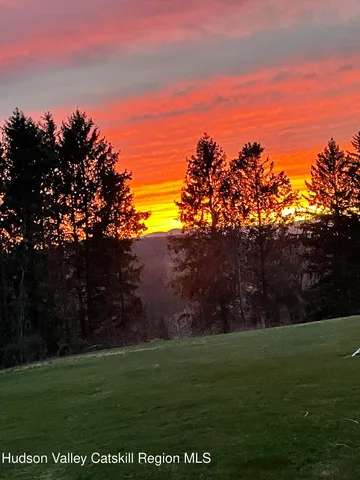 a view of a grassy field with trees