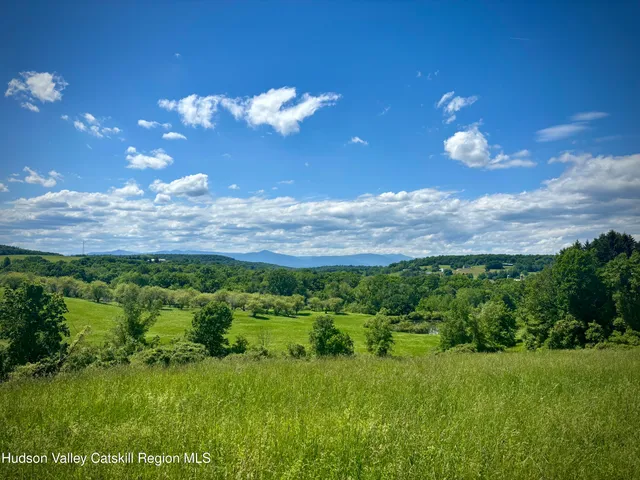 a view of a big yard with lots of green space