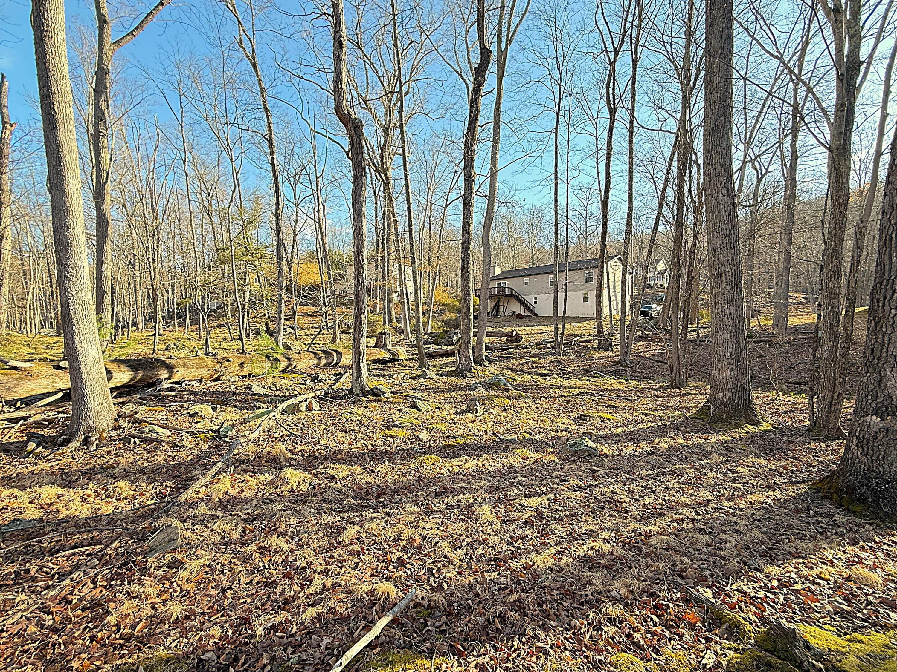 6486 Decker Road Bushkill, PA 18324 - Photo 31 of 54 Rear Yard Decker