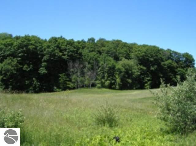6535 Bates Road Williamsburg, MI 49690 - Photo 2 of 6 1658946-1.JPG