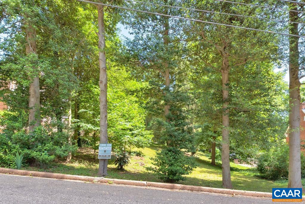 1623 Oxford Road Charlottesville, VA 22903 - Photo 7 of 30 Gallery Image 7