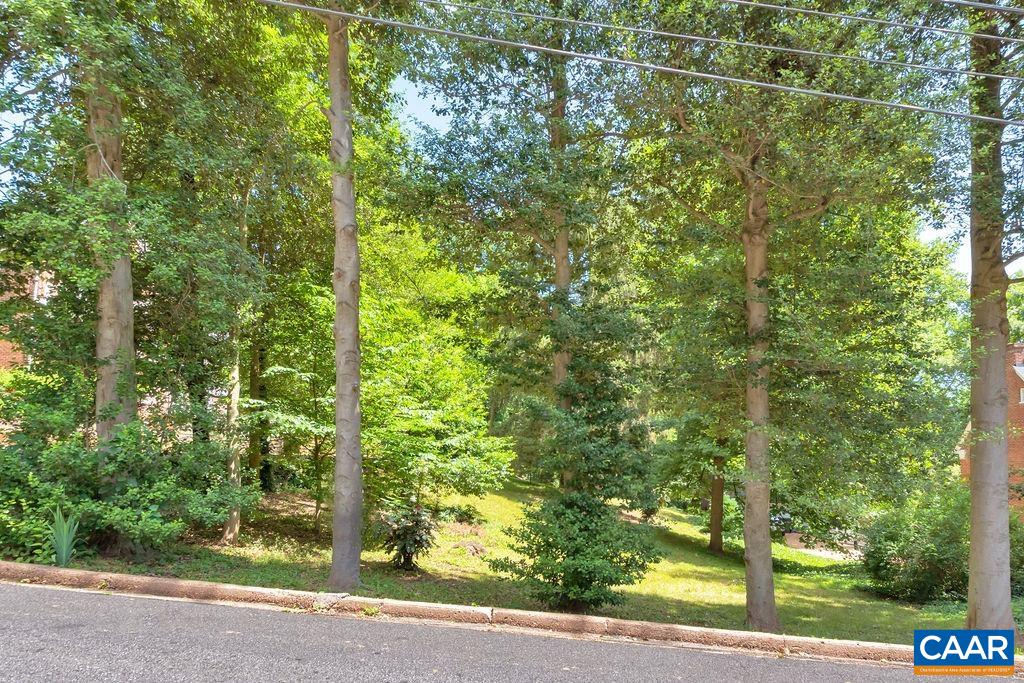 1623 Oxford Road Charlottesville, VA 22903 - Photo 8 of 30 Gallery Image 8