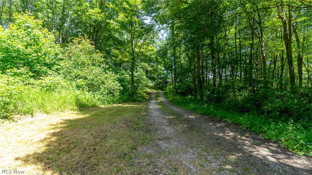 Moore Ridge Road Jerusalem, OH 43747 - Photo 19 of 35 Gallery Image 19