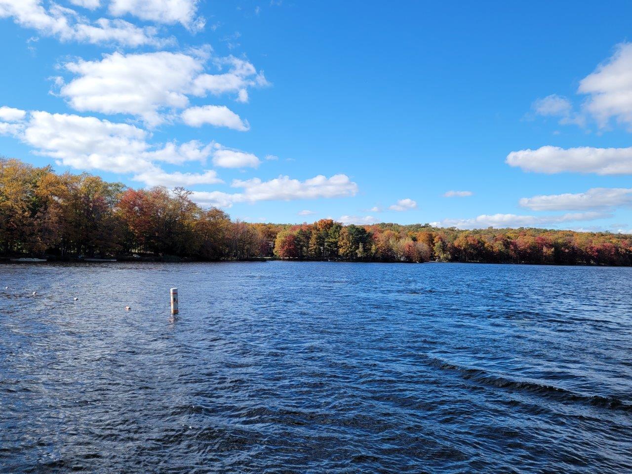 729 Sheffick Road Gouldsboro, PA 18424 - Photo 4 of 18 BIG BASS LAKE