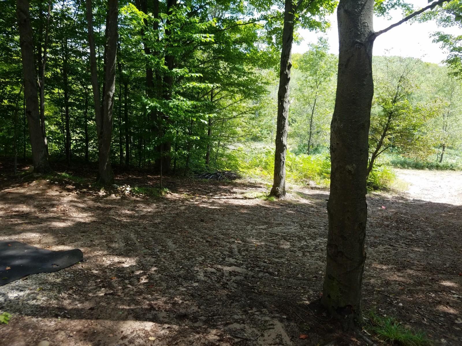 Gas Line Road Frederic, MI 49733 - Photo 11 of 32 Gallery Image 11