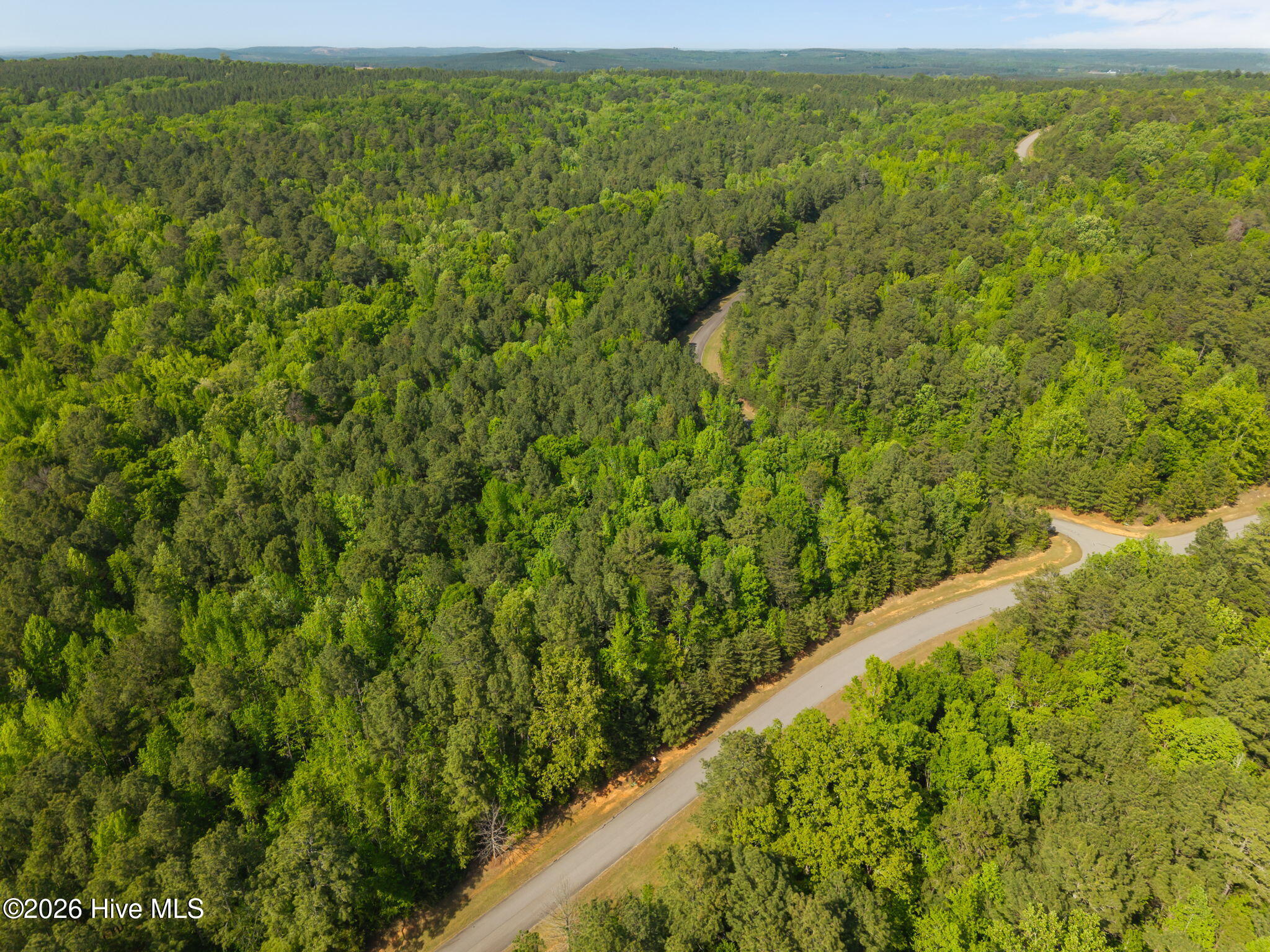 125 Lennox Loop Rockingham, NC 28379 - Photo 12 of 14 9-web-or-mls-DJI_20260415155950_0229_D